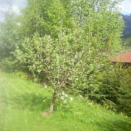 Familienferienwohnung Manuela Scherer